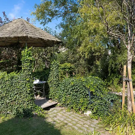 Luett Drosselhoern 2 * 拉博埃