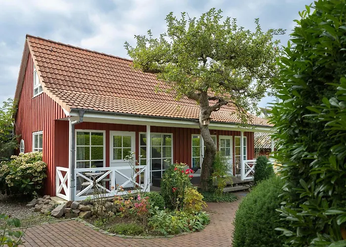 Luett Drosselhoern 2